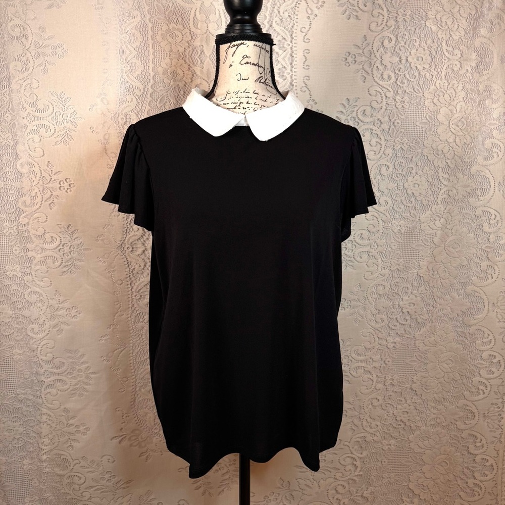 Adrianna Papell Black Blouse with White Peter Pan Collar